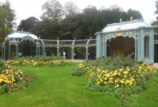 Conserving Fancy Pigeons